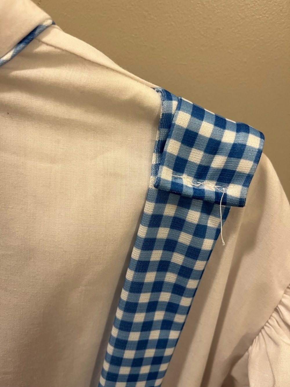 Women’s Dorothy from Wizard of Oz dress 💙🤍 - Picture 4 of 12